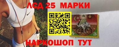 мдпв Гусев