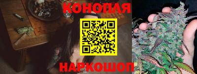 мдпв Гусев