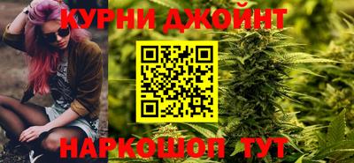 мдпв Гусев