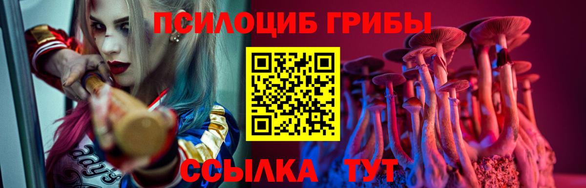 Галлюциногенные грибы мицелий  наркотики  Кировск  Вход с VPN 
